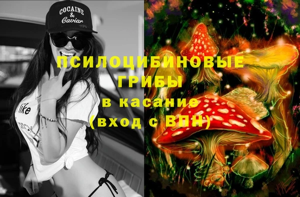 молекула духа Магас